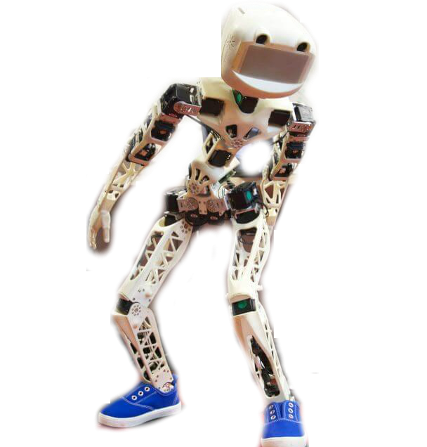 Poppy robot